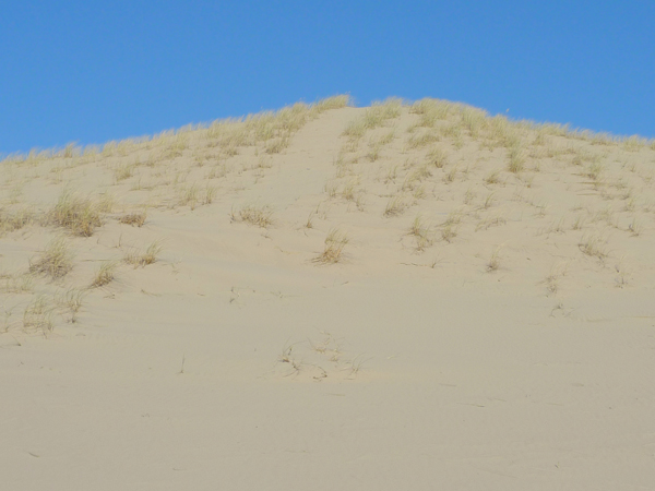 Oregon Sand Dunes near Florence
