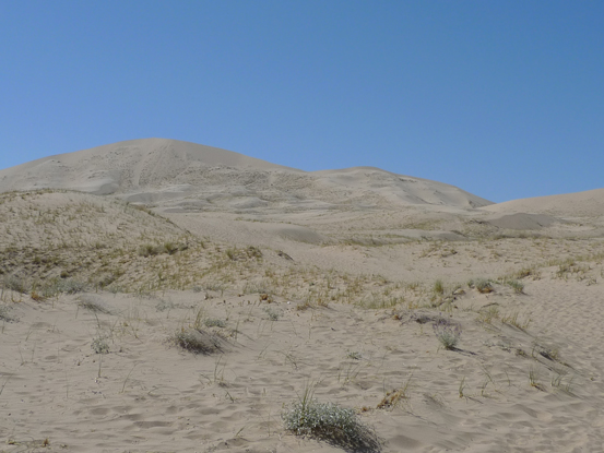 Kelso Sand Dunes in Mojave National Preserve