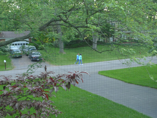 Power Walkers passing 5701 Plum Orchard Drive