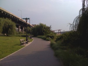 Native grasses on the river