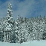 Snowstorm at Mount Hood