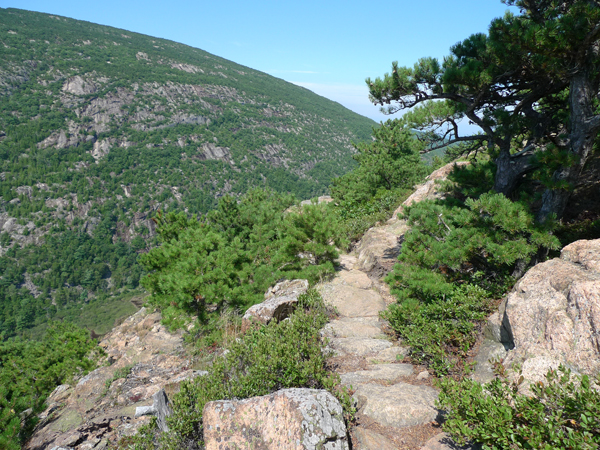 Trail on Champlain Mountain