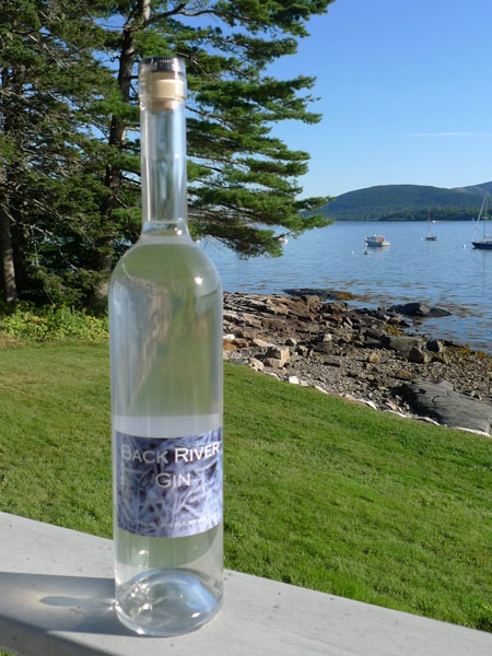 Back River Blueberry Gin