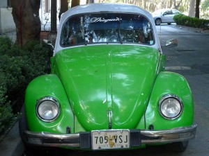green bug green bug