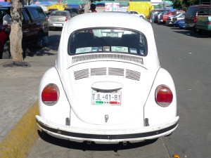 white bug white bug